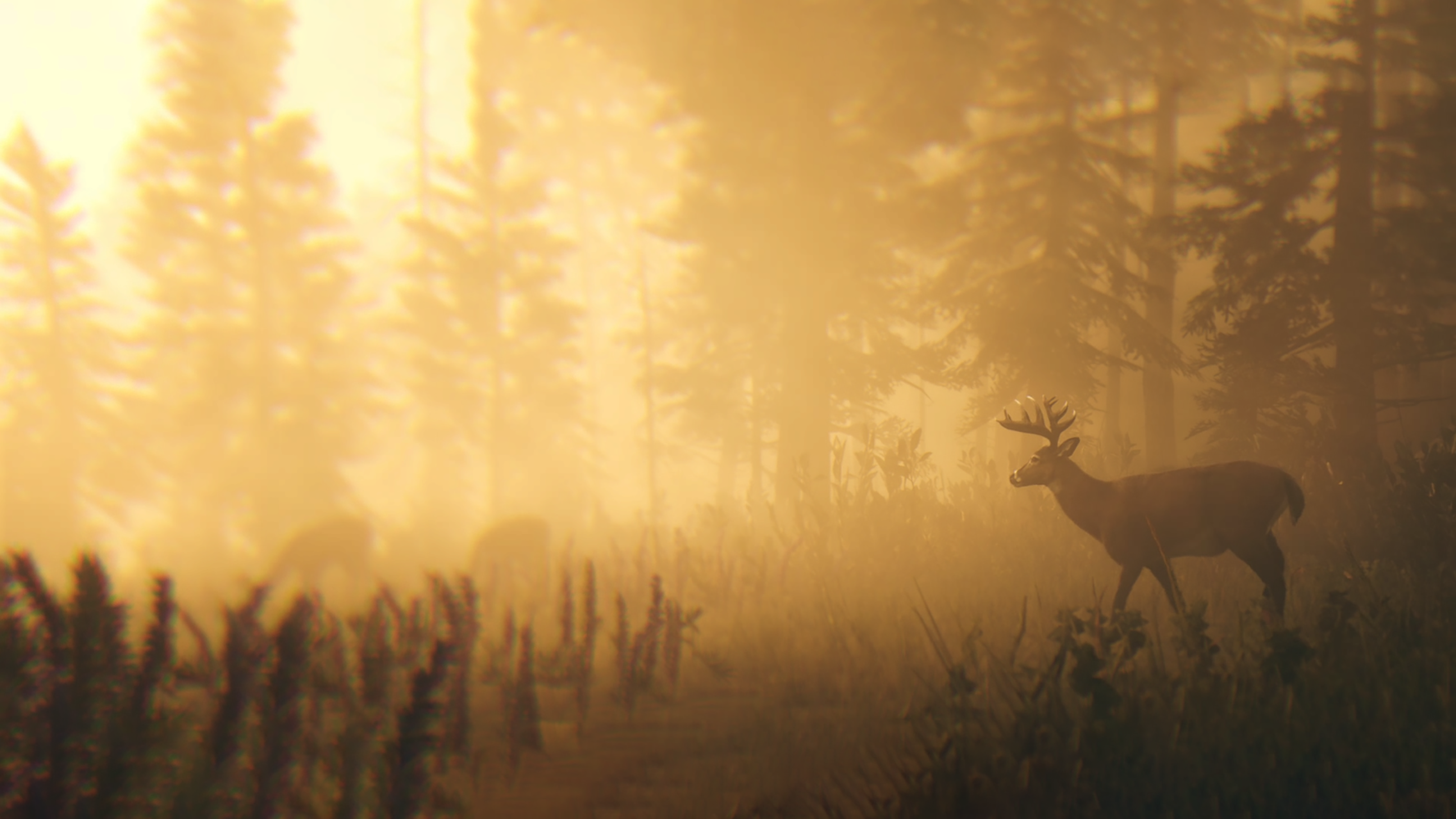 RDR2 — Deer